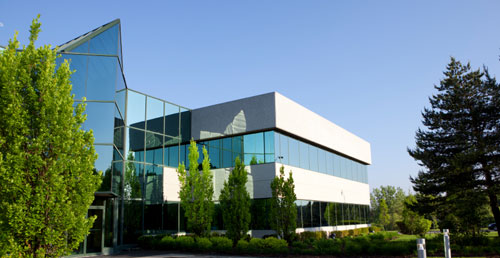 Customised Financial Director service
